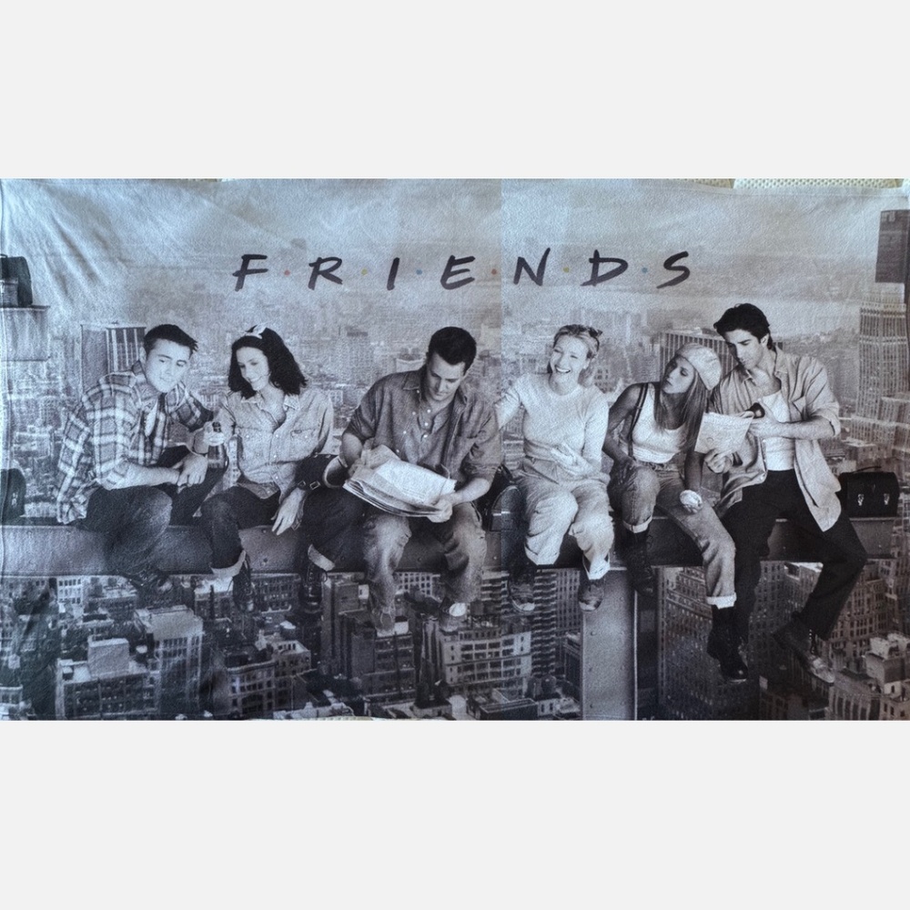 FRIENDS Blanket Lunch Atop a Skyscraper (6.5ft) Black +White Pop Culture Decor